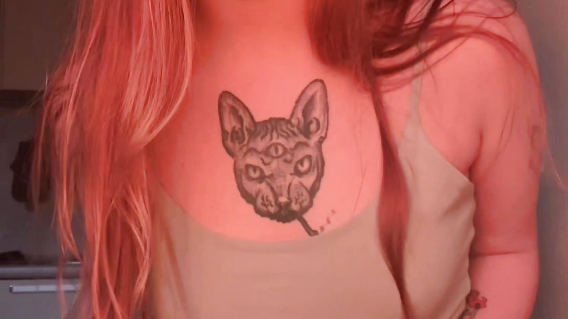this bunny wants to ...