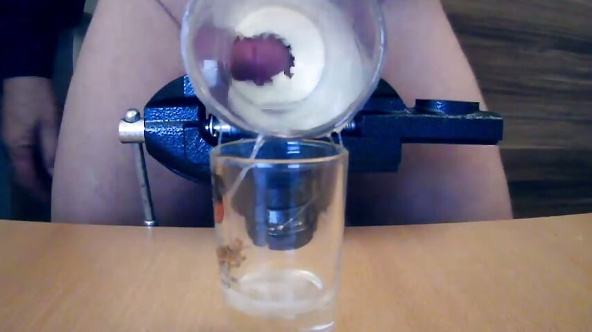 Samenabgabe für anschließende Befruchtung mit Bechermethode, man sieht Precum u. Samen im Glas - Inseminator69 adlı kamera modelinin videosu