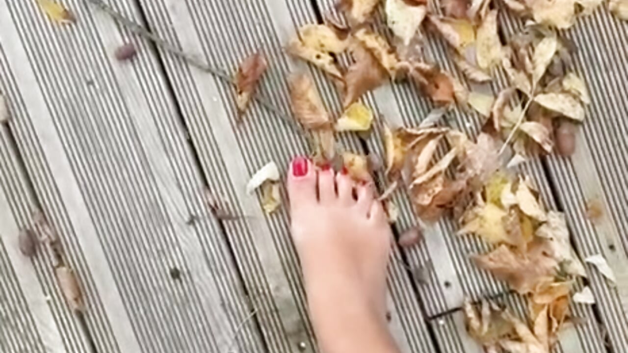🦋🦋 - vidéo du modèle de showcams queen-chamss