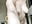 I am completely naked in front of you - Video von CurlyLara Cam-Model
