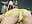 I tease you in doggy style - Video von CurlyLara Cam-Model
