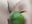 27- I Fucked a Big CUCUMBER! - Alysson--主播的视频