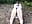 Ass play, lovens (public) - Vídeo de Your_Penny_