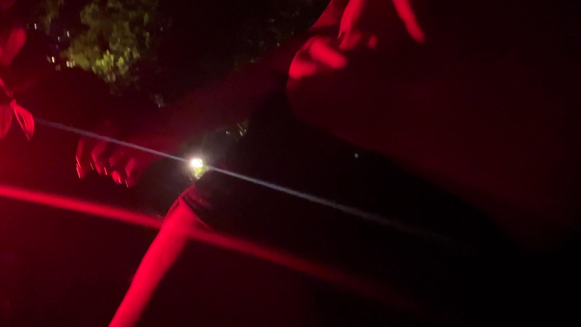 Cat Cat dances in crazy party - video by Catsucker cam model