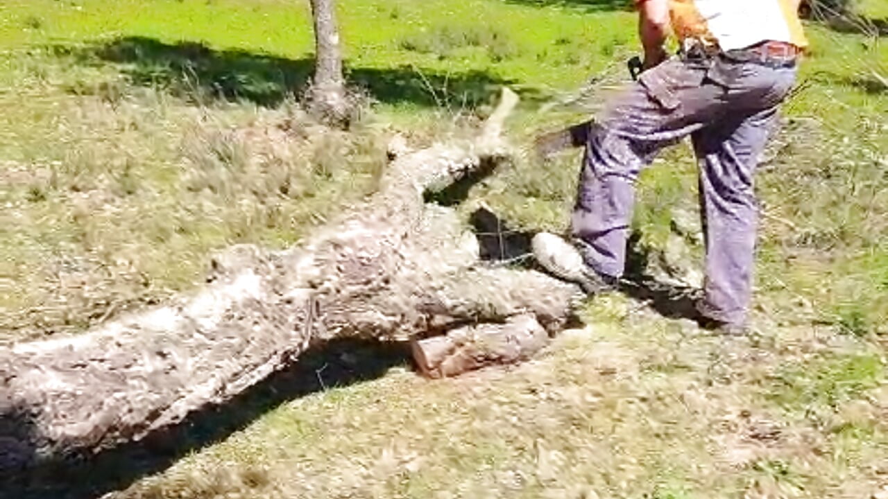 Trabajo – видео вебкам-модели Albertolexu