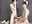 Gentle weases of Andrew and Ted - video av AndrewwCarter2 cam model