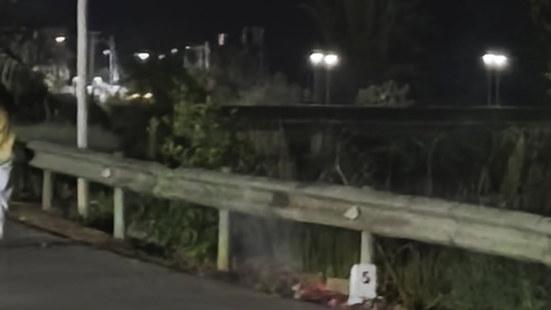 哥哥，专属你的美丽烟花由安安亲手来放🎆✨ – video af hi-AnAn cam-model