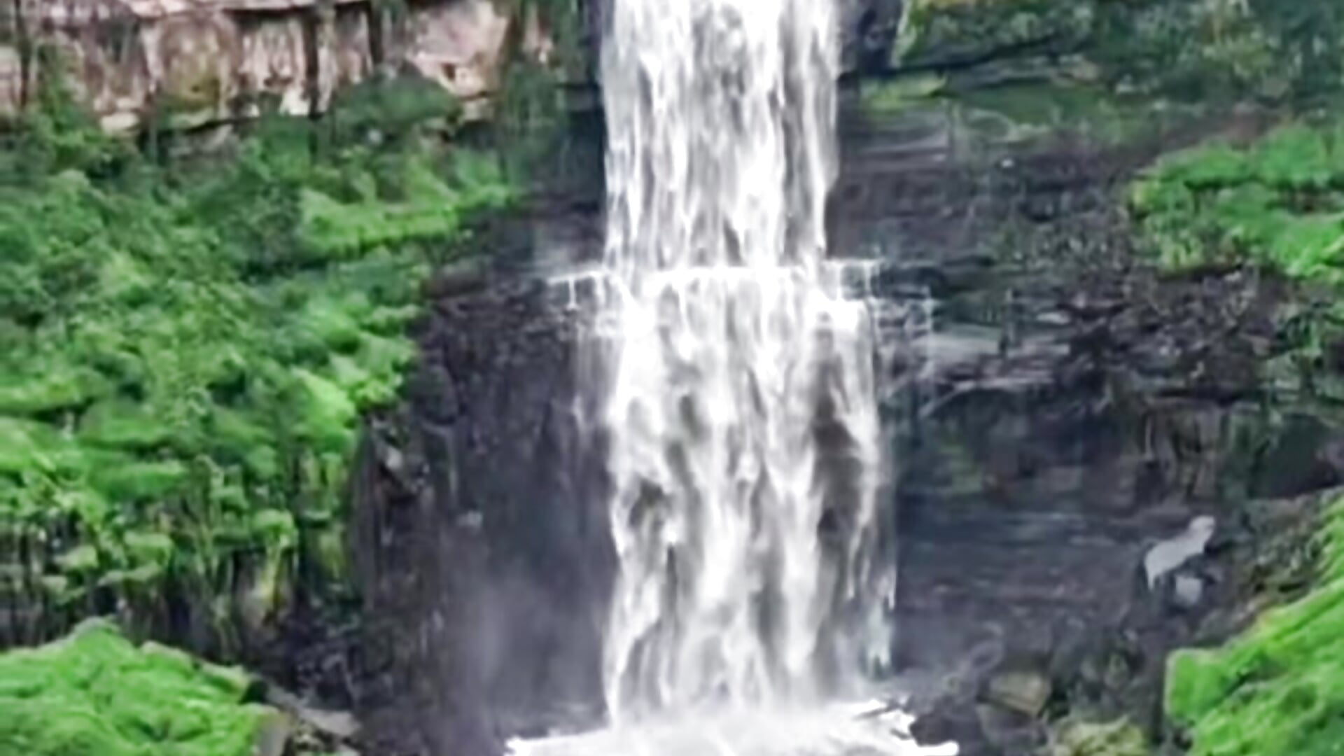 😍❤️ - video by lorenitha_20 cam model