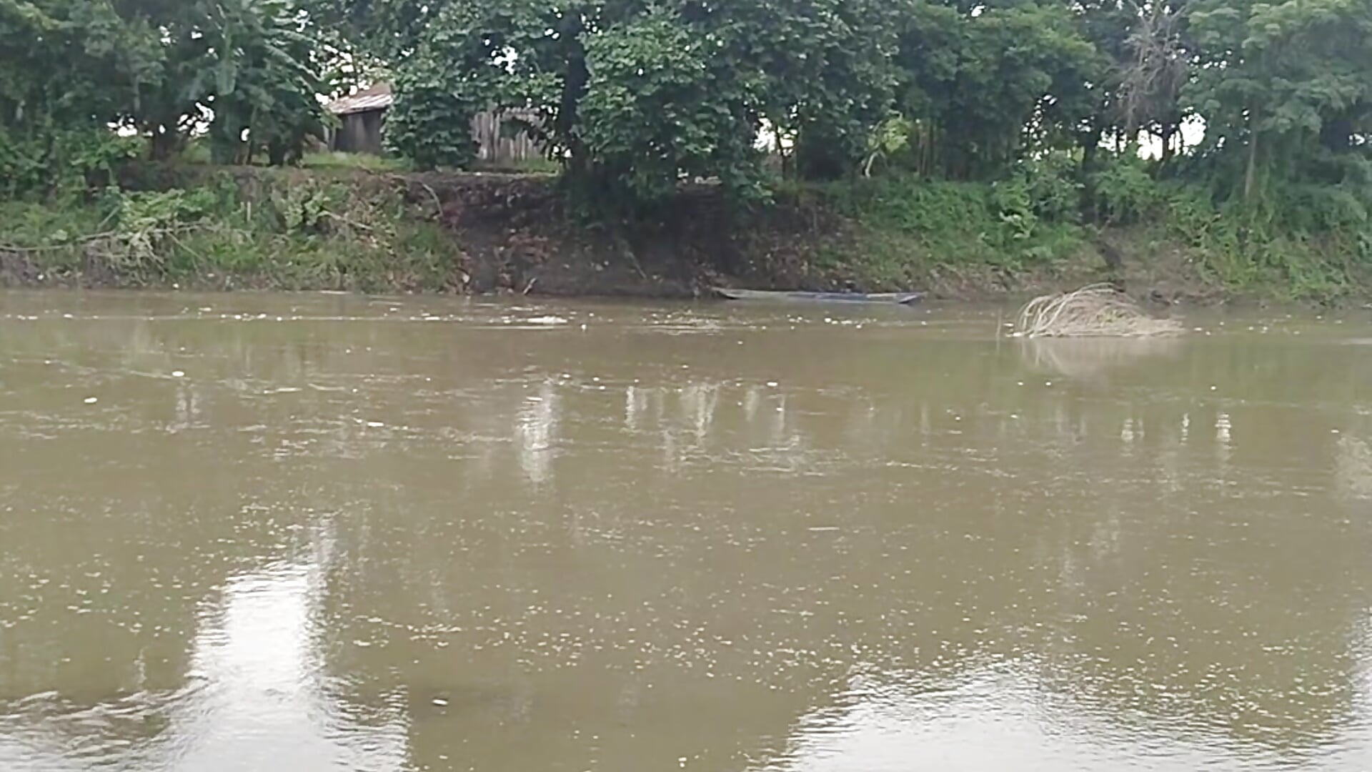 1000155491 - video by jicormar cam model