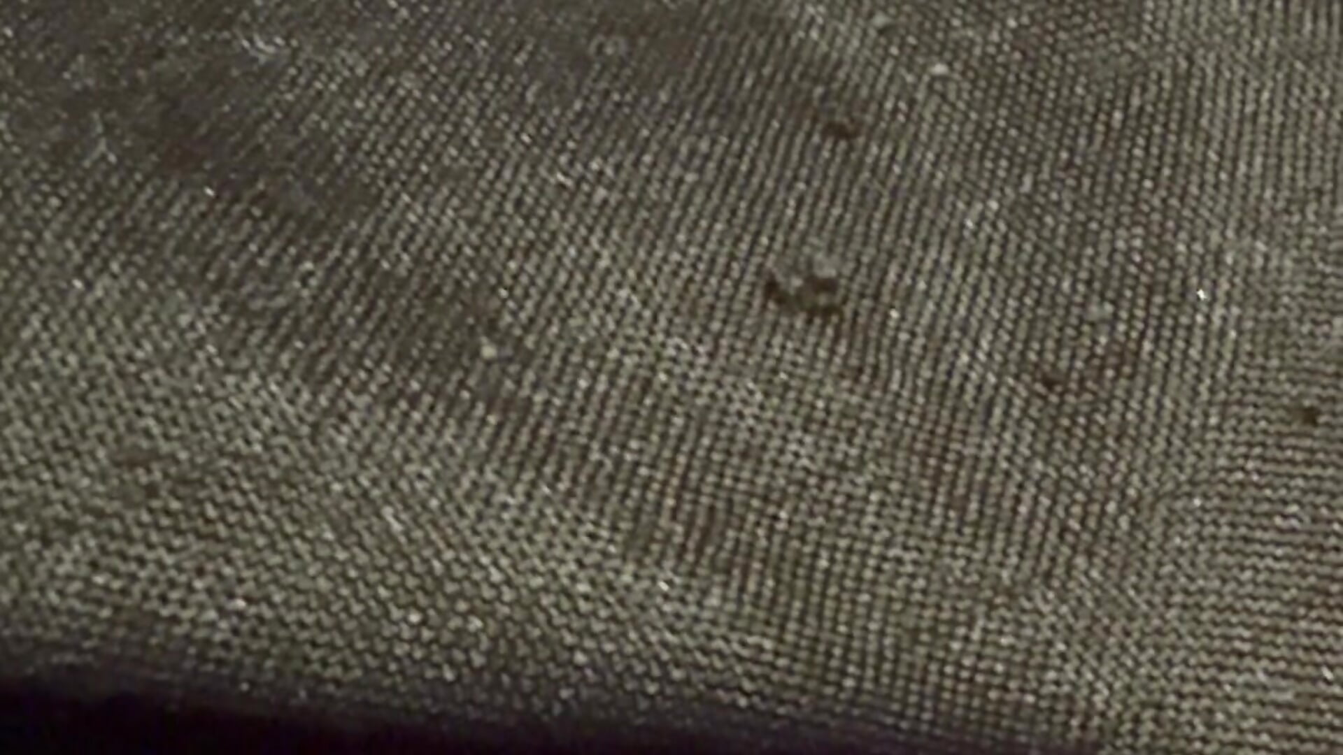 A Christmas Miracle  🤣 - vídeo de la modelo de cam Lulu_SC