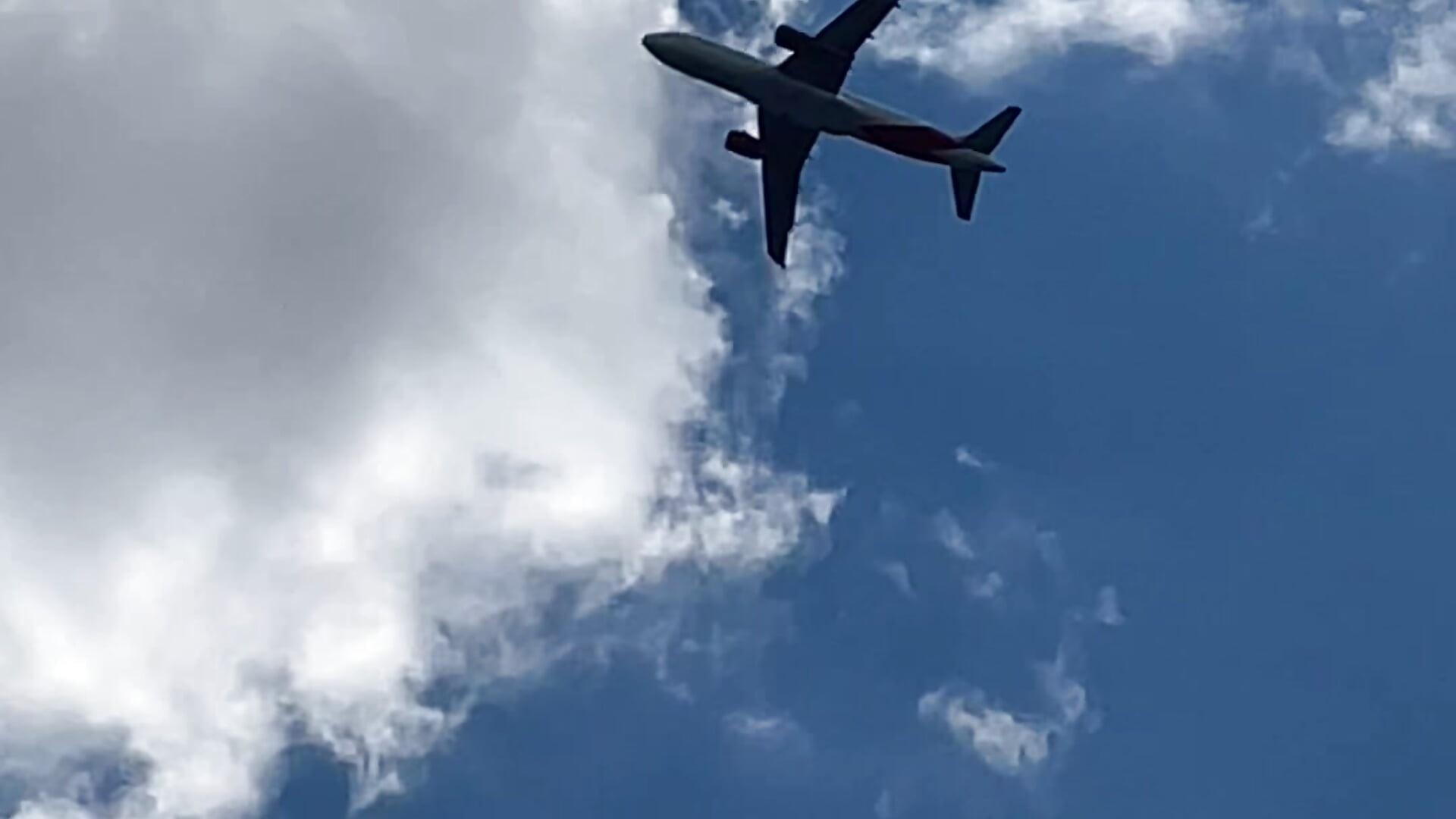 IMG_6961 - 視頻由 Max_sofia1 主播提供