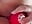 Playing with my rose 🌹 😈 - video by Honey_Tate cam model