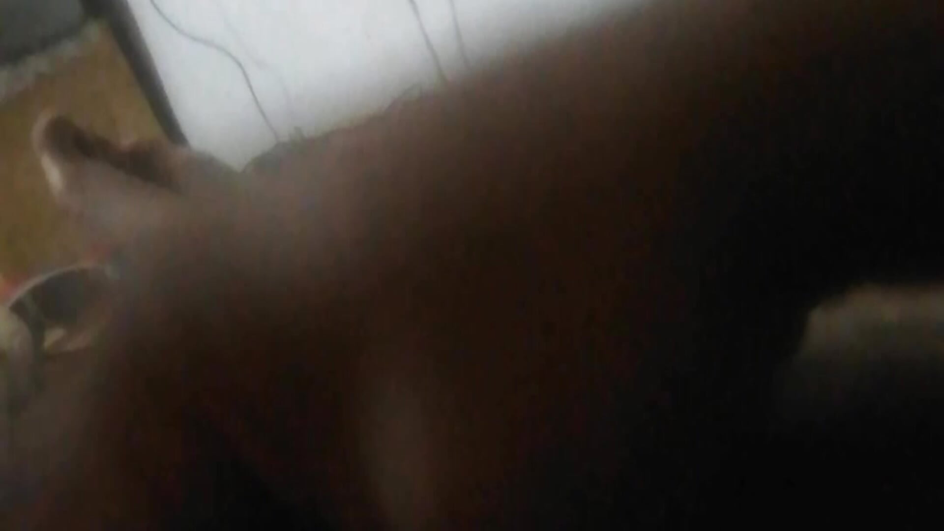 Chamarrita