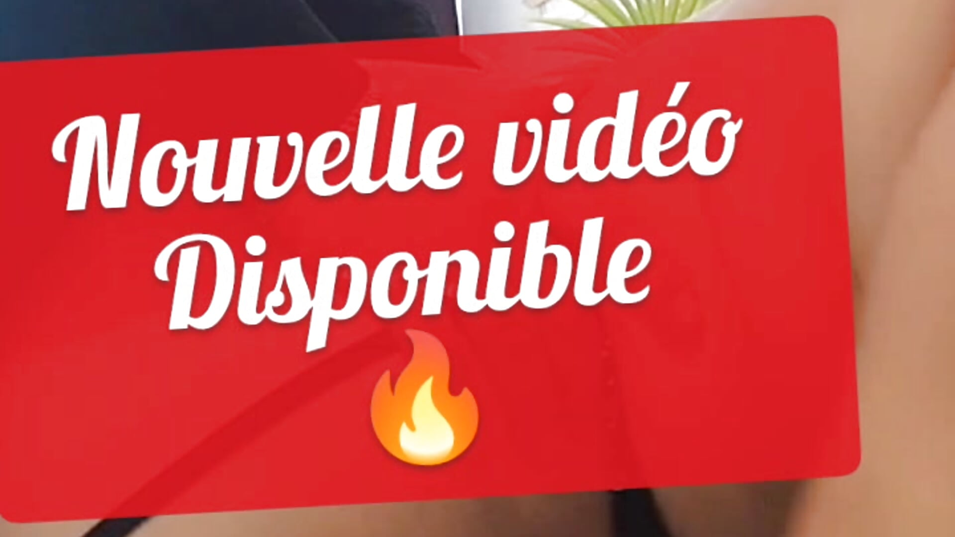 Abonné toi au fan club ou prends la vidéo si tu veux 💦💦