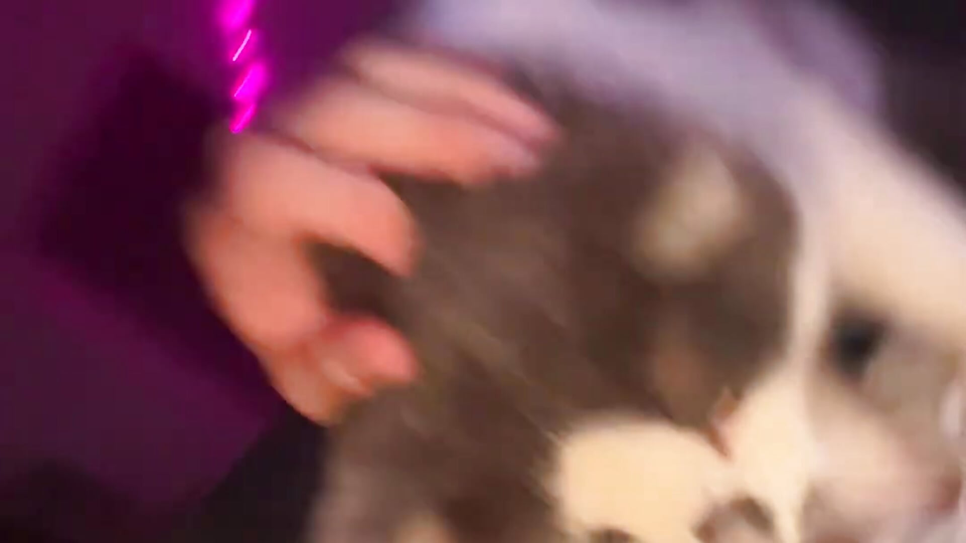 tripexnte - Trendy videá camgirls 6205