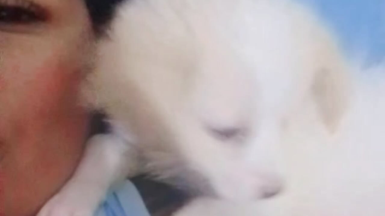Snapchat-2127525680[1].mp4