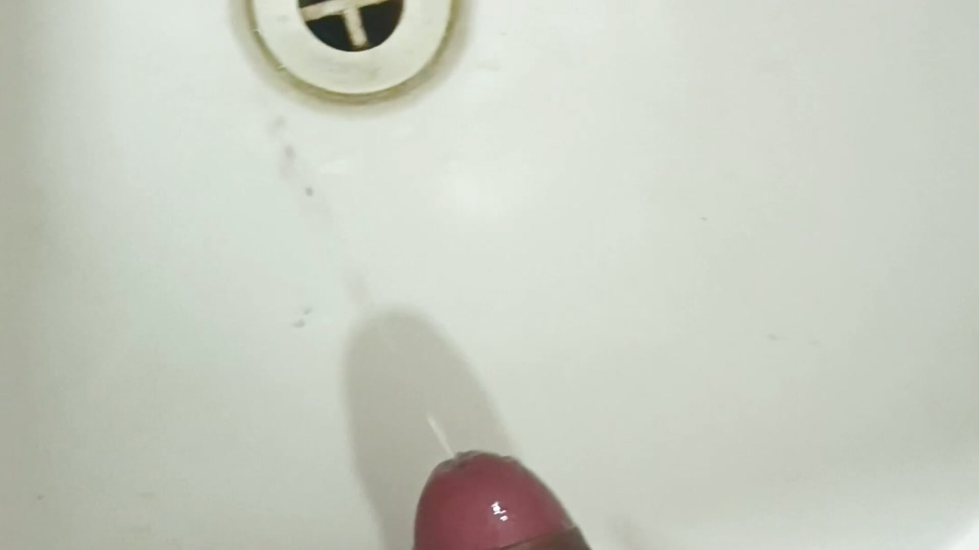 Rapidin - Vídeo de pedritolobito, modelo de vídeos