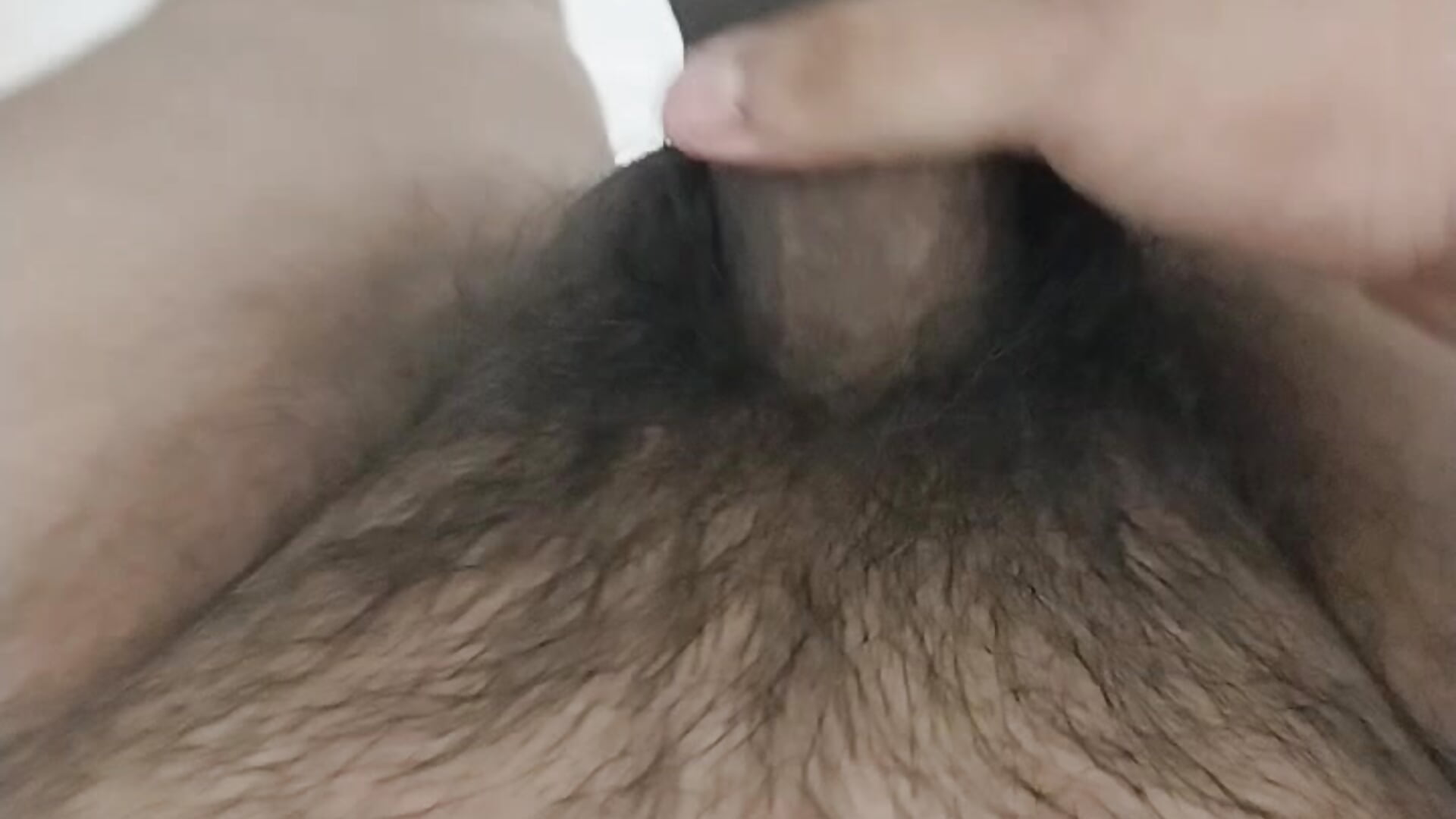 Alfredohot116 - Video Tren Model Kamera 8697