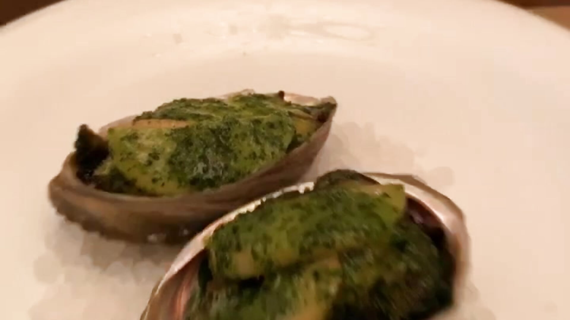 あわび - βίντεο μοντέλου ne072