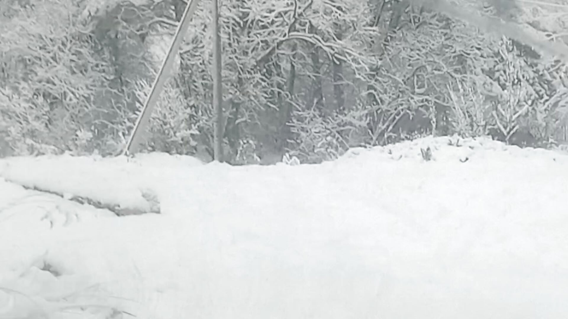 Today.. - video by GypsyEsmeralda cam model