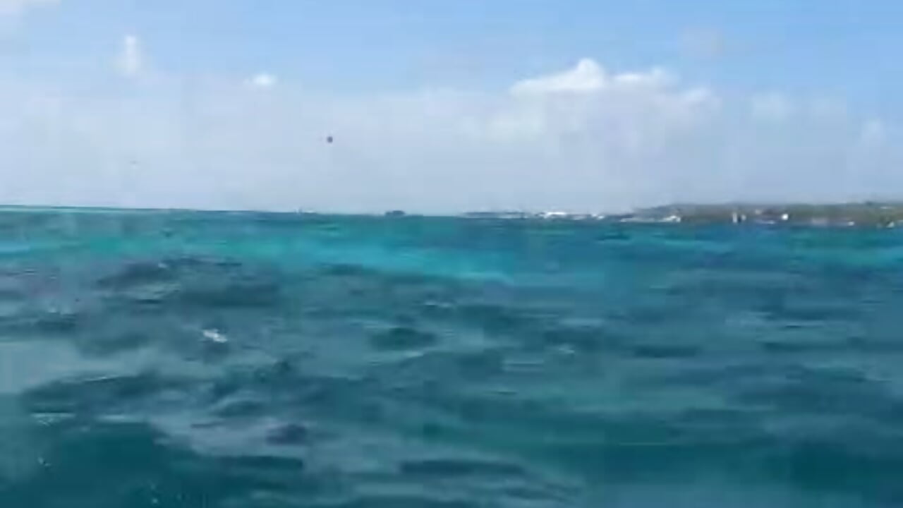 The sea knows my secrets－カメラキャストのCATALAIA_STOMMの動画