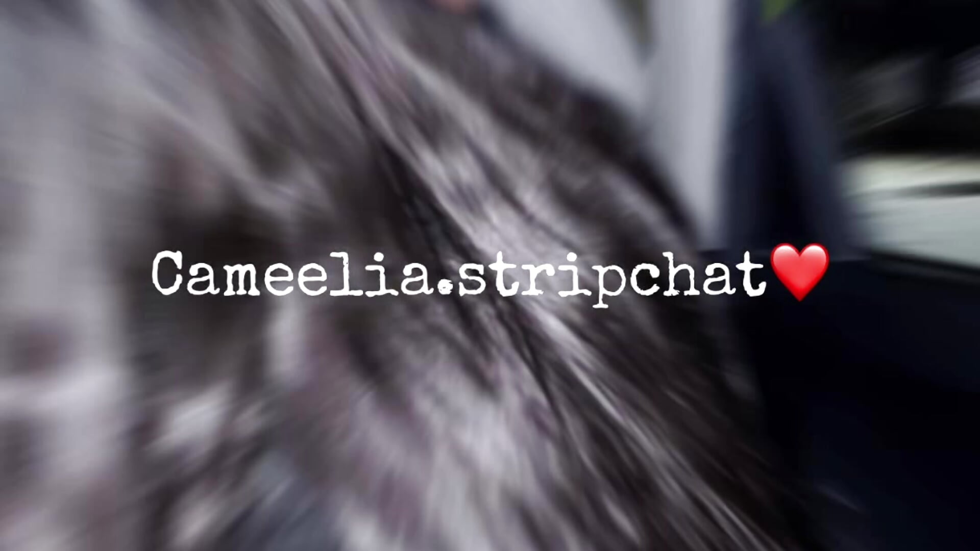 5a480870c2c44751a2173c95c21a3b52 - Cameelia 캠 모델의 동영상