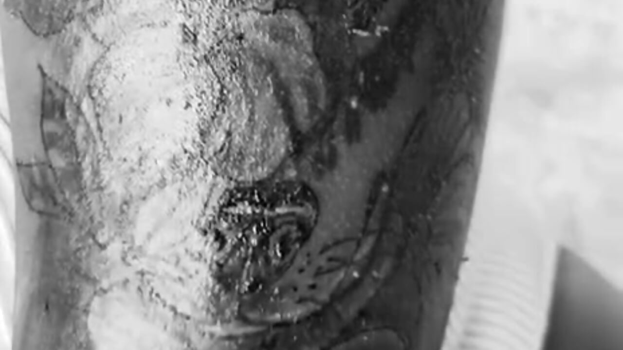 tattos – видео вебкам-модели evangelin_ts