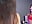Piercing - clip cu KatelynSparks model videochat