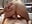 Je chevauche sa bonne grosse bite 🍆 - romeojulietLoveX 的视频