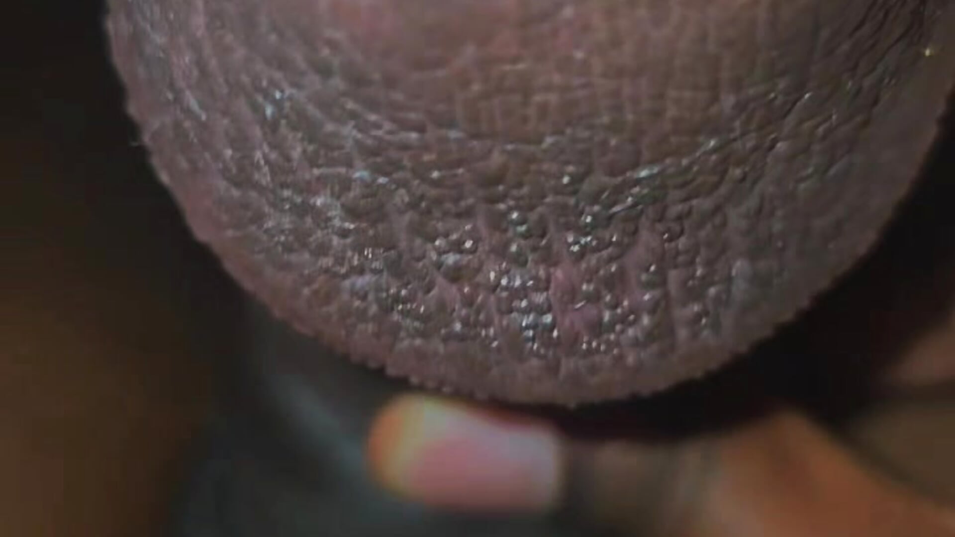 Head 🌰 - video van Glo-Ebony cam-model