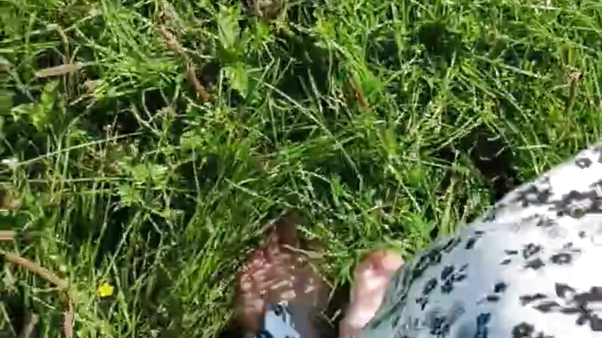 barefoot on the grass