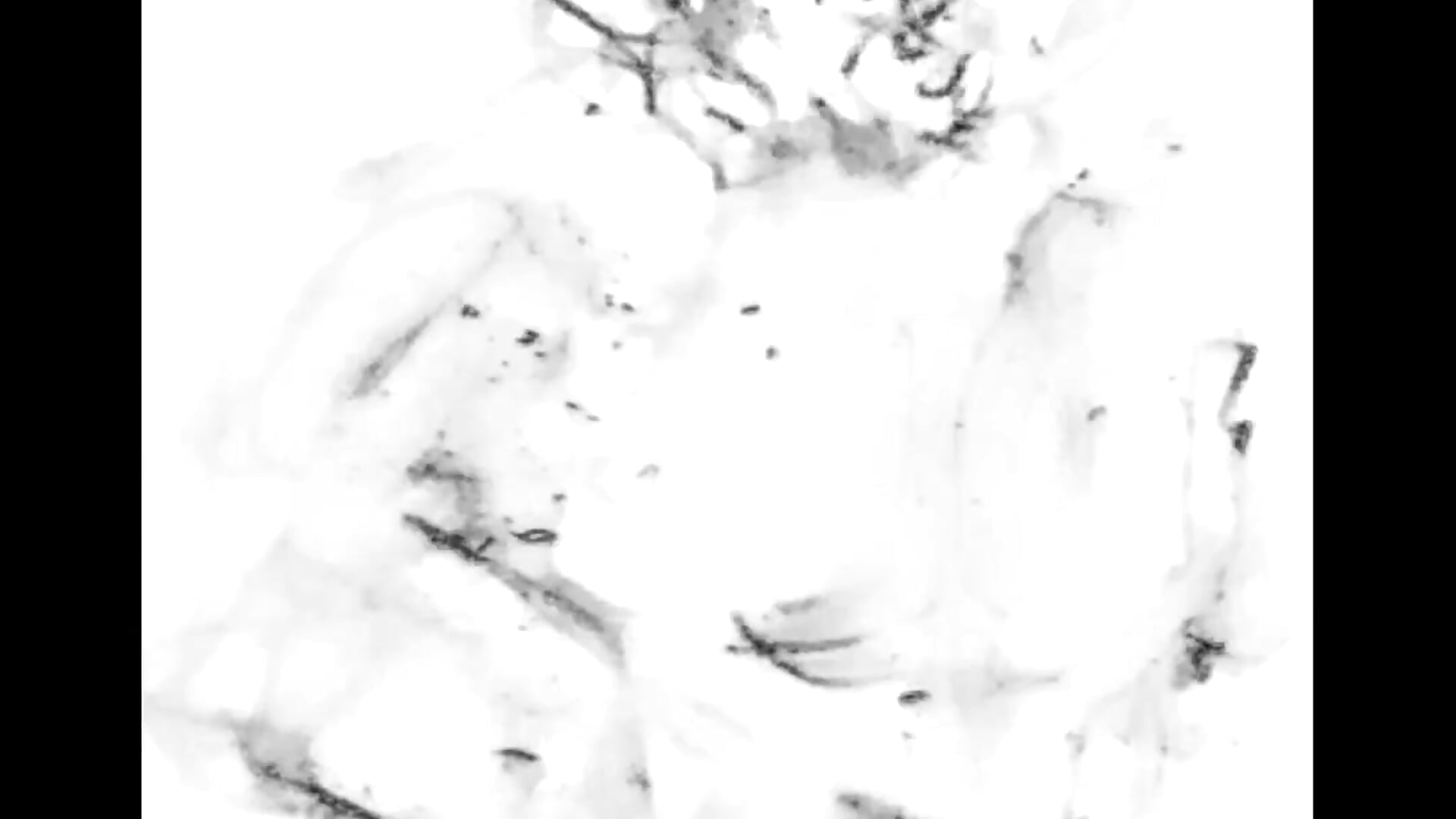 1000003016.mp4 - video by Alleinzuhause cam model