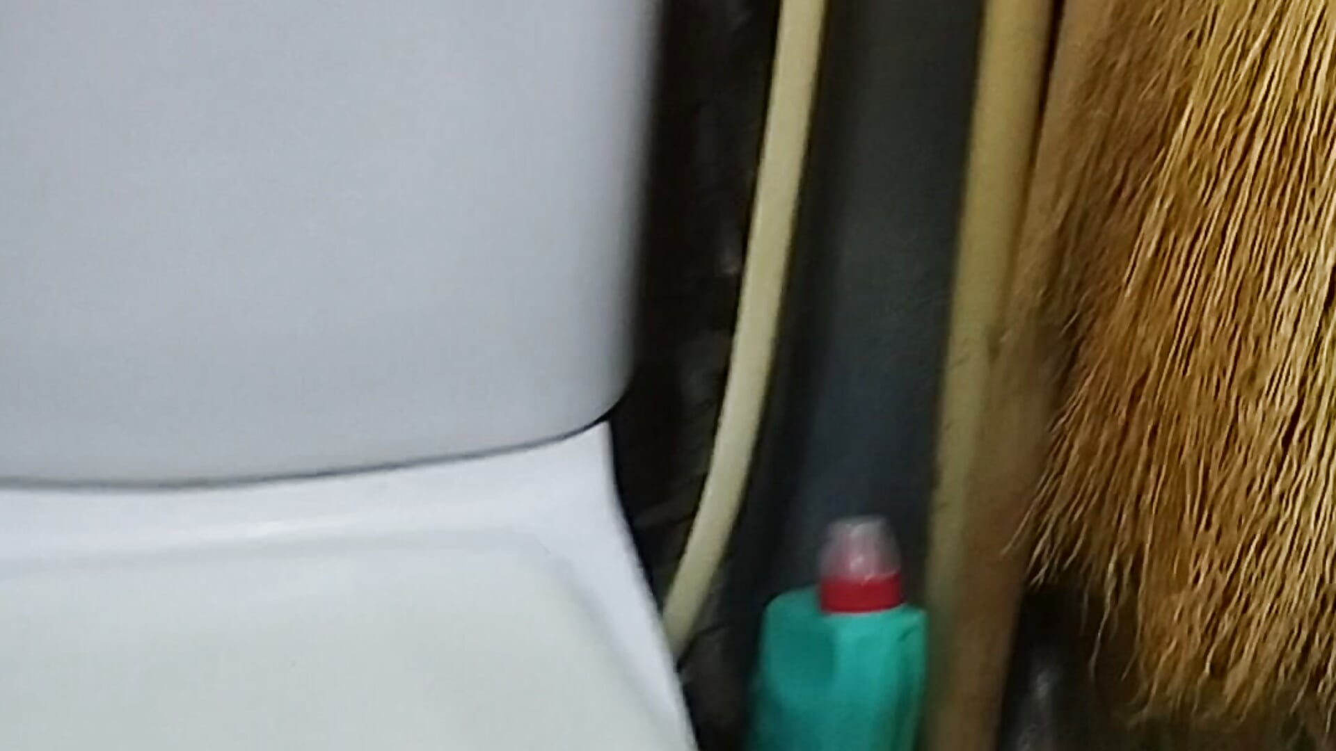 my toilet 🚽🪠🚽🧻🪠🚽🧻 – video modela na kameri Holly-69