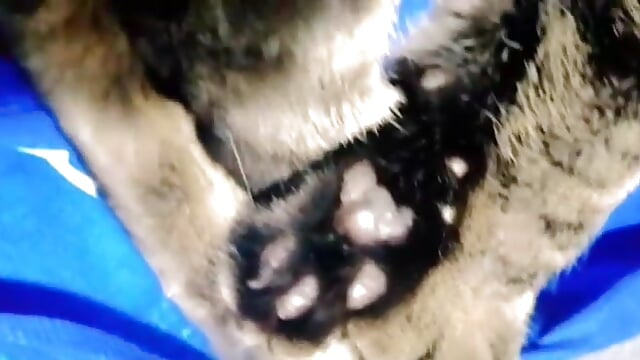 my love💖💖💖 - video by _jade_white_ cam model