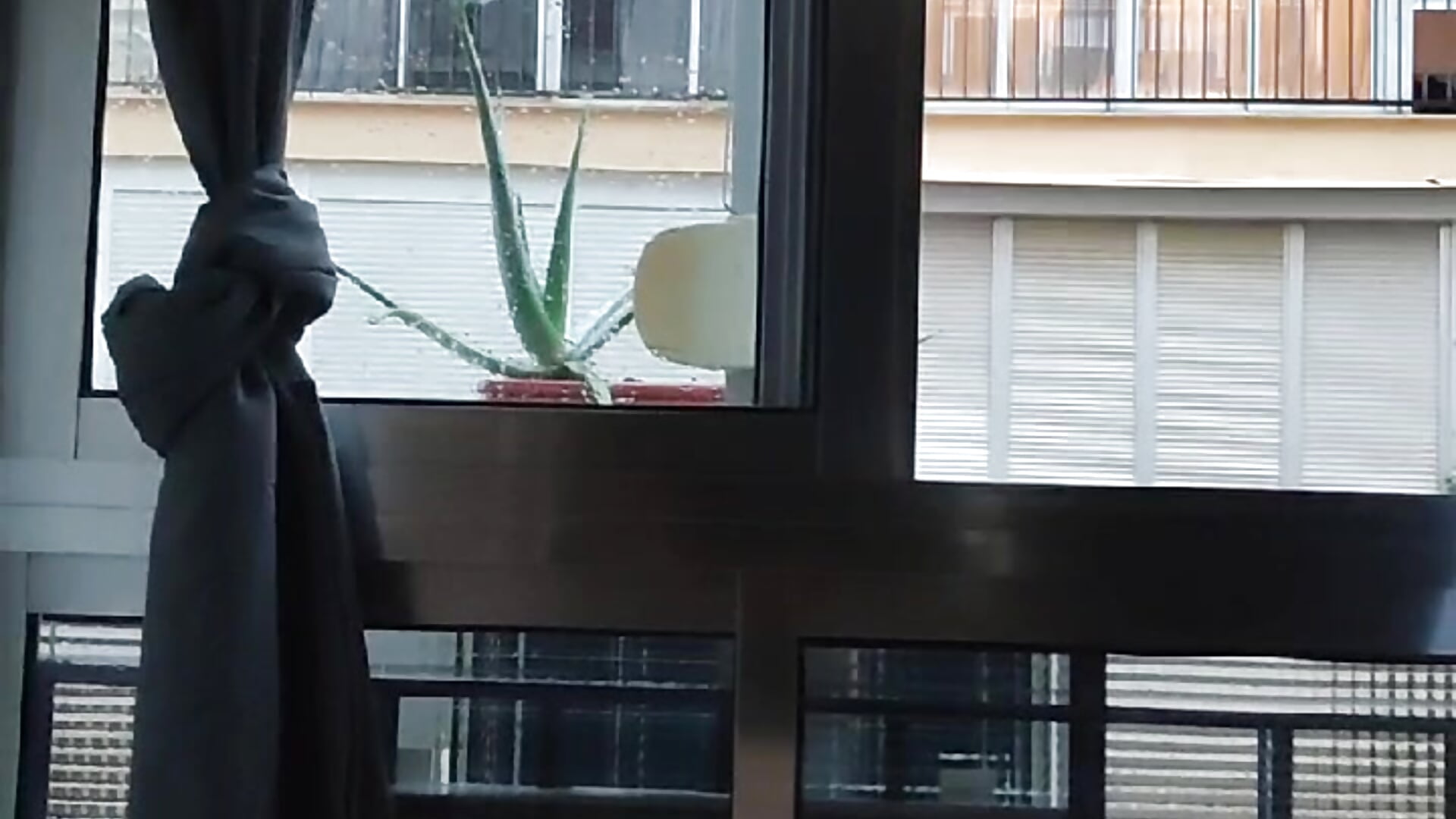 MOV_20260123_183747_8251817178539168316 - video av Satiro_Sevilla cam model