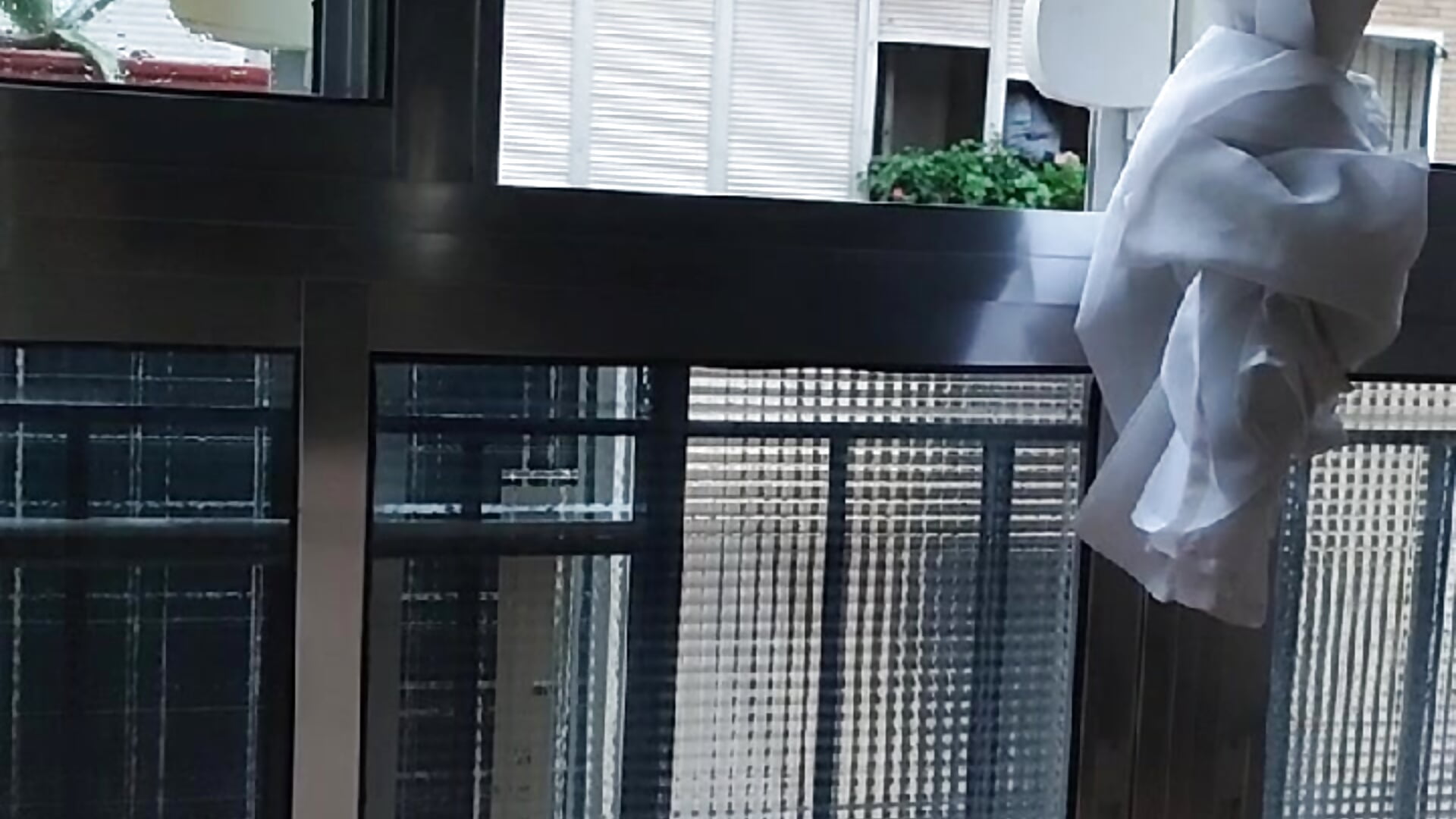 MOV_20260123_183640_1689402259678618988 - video av Satiro_Sevilla cam model