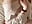 video_2025-04-15_17-50-28 - video by Esme_Runn cam model