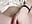 IMG_5769 - video by Esme_Runn cam model
