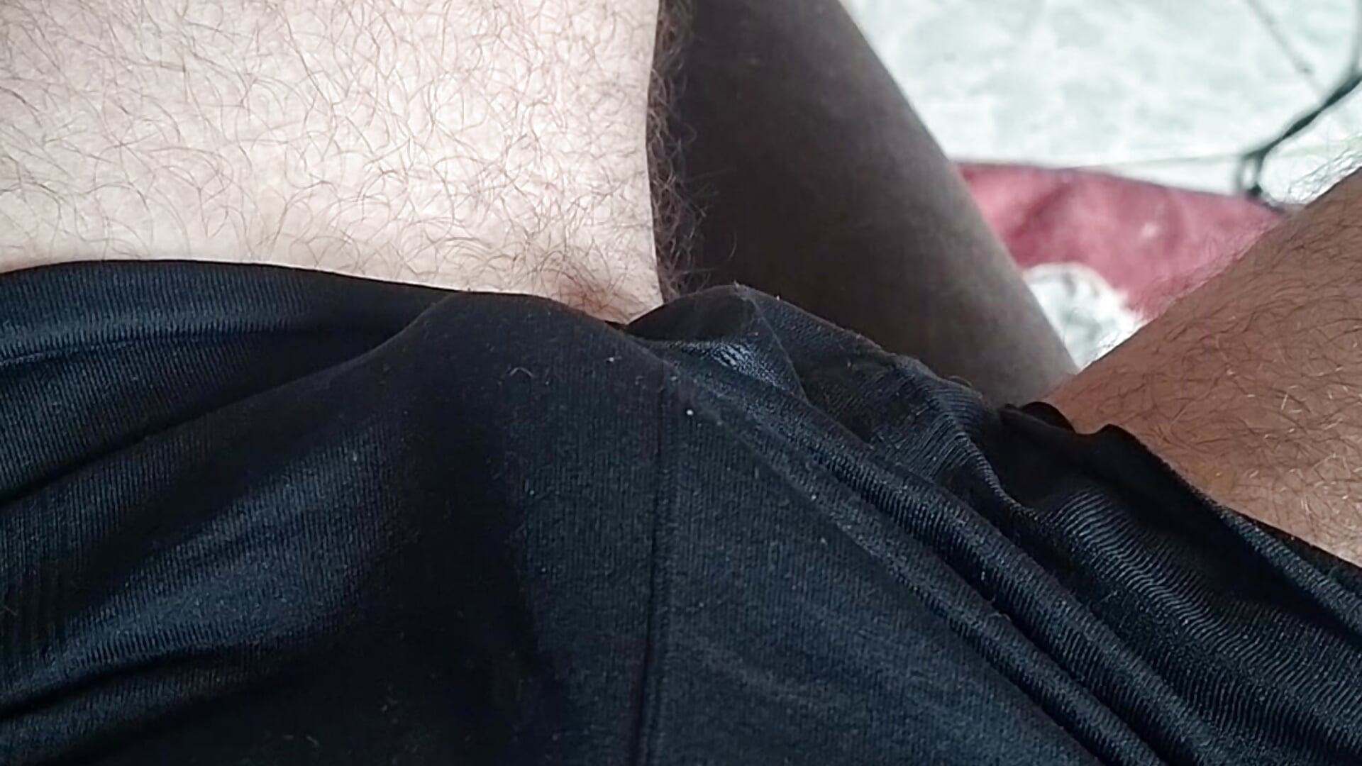 gustavoshow