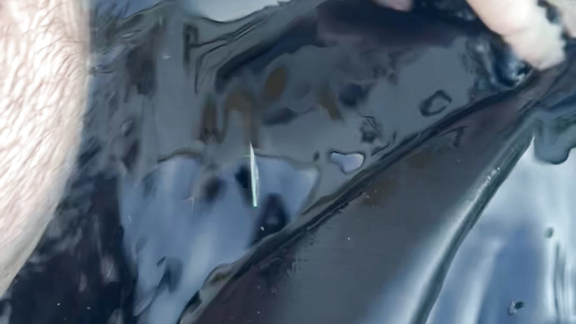 Playing with my boner in public pool – video od webkamerové modelky thewetshorts