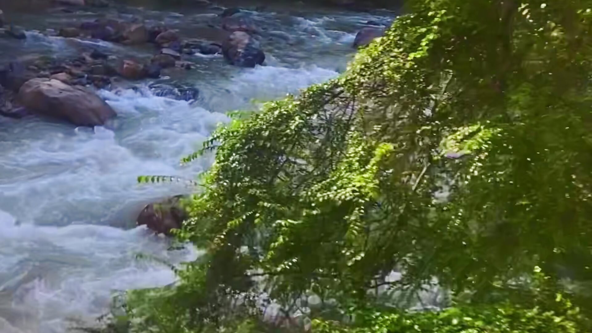 Let's Discover Colombia Together♥ - video by CurlyRose__ cam model