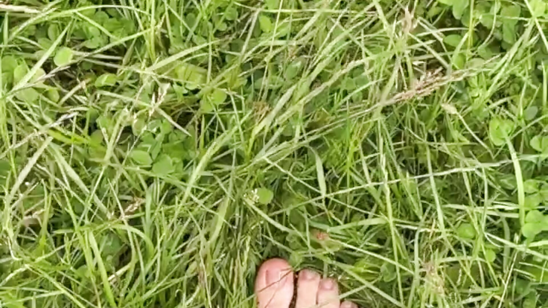 I just___😒I'm looking for peace, I need it. - video của người mẫu cam Ecaterinaaa