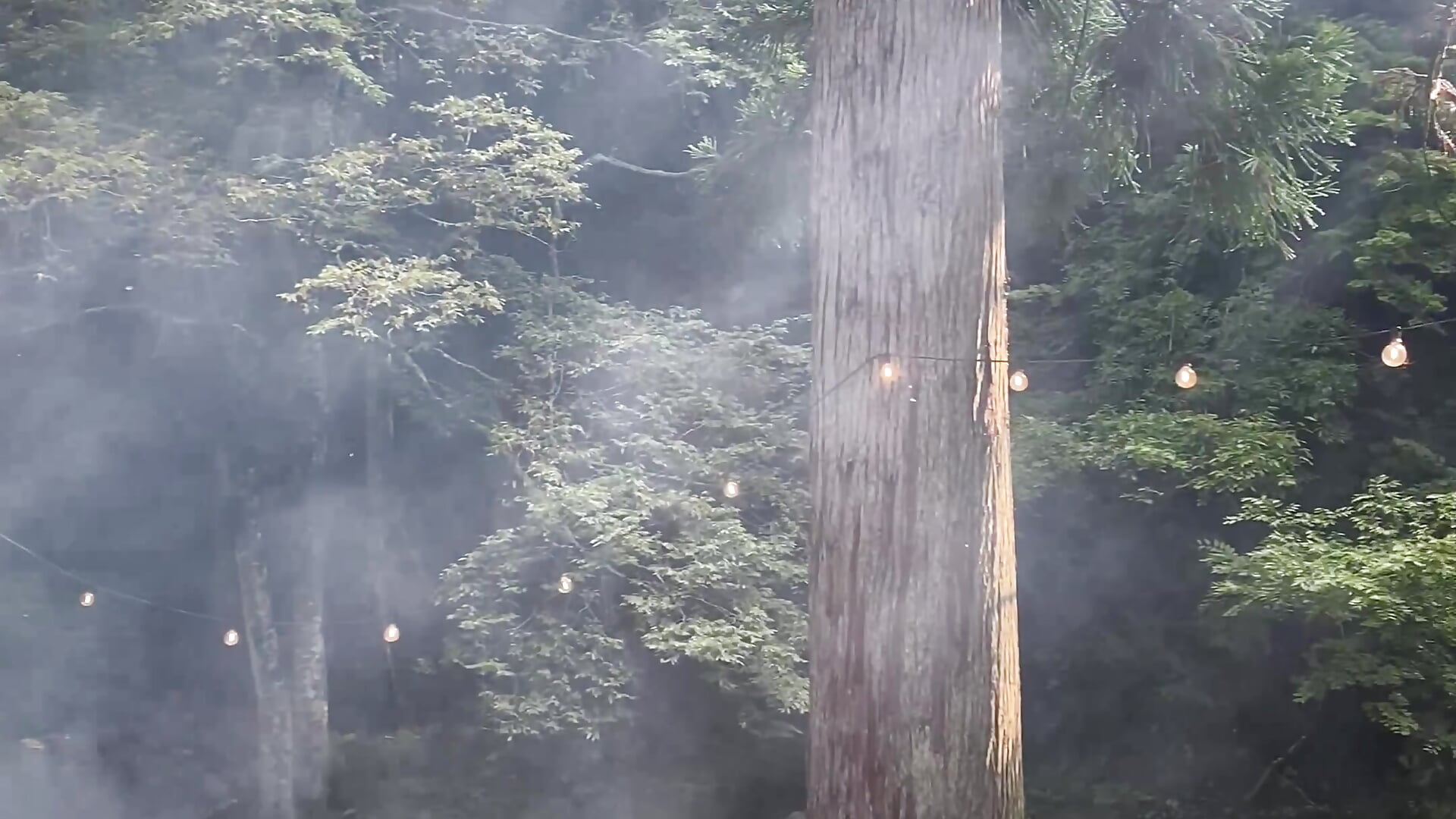 夏休みPart2🏖☀️－カメラキャストのRika_v_vの動画