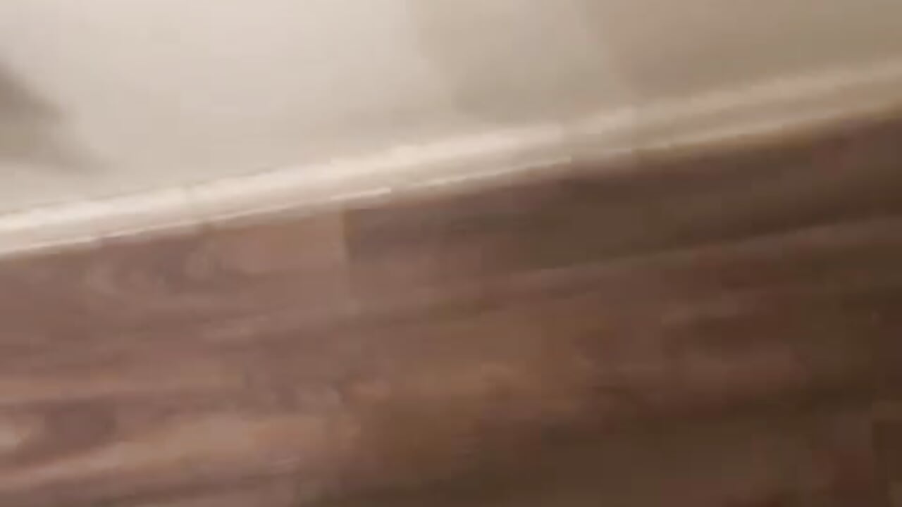2a8e8c51-9b9f-49b7-9285-0c12a7299792 - video van chejons95