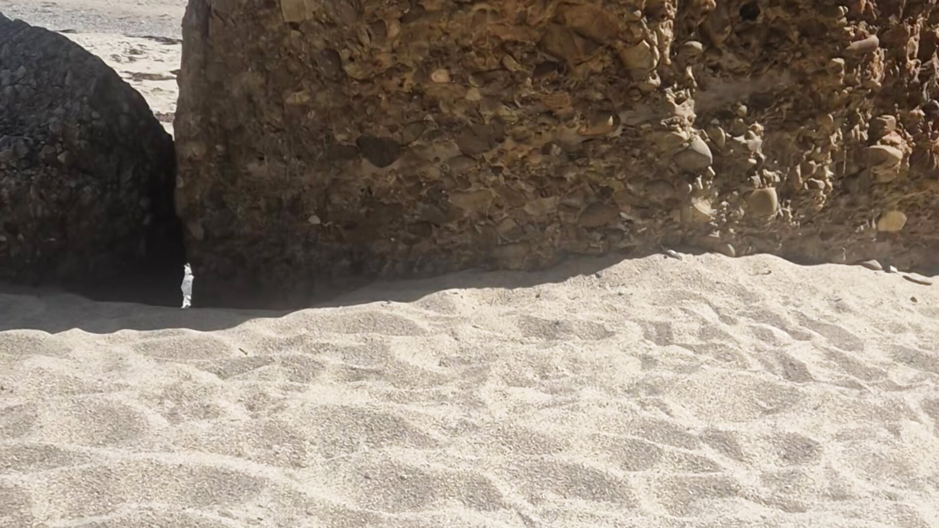 Follar en la playa