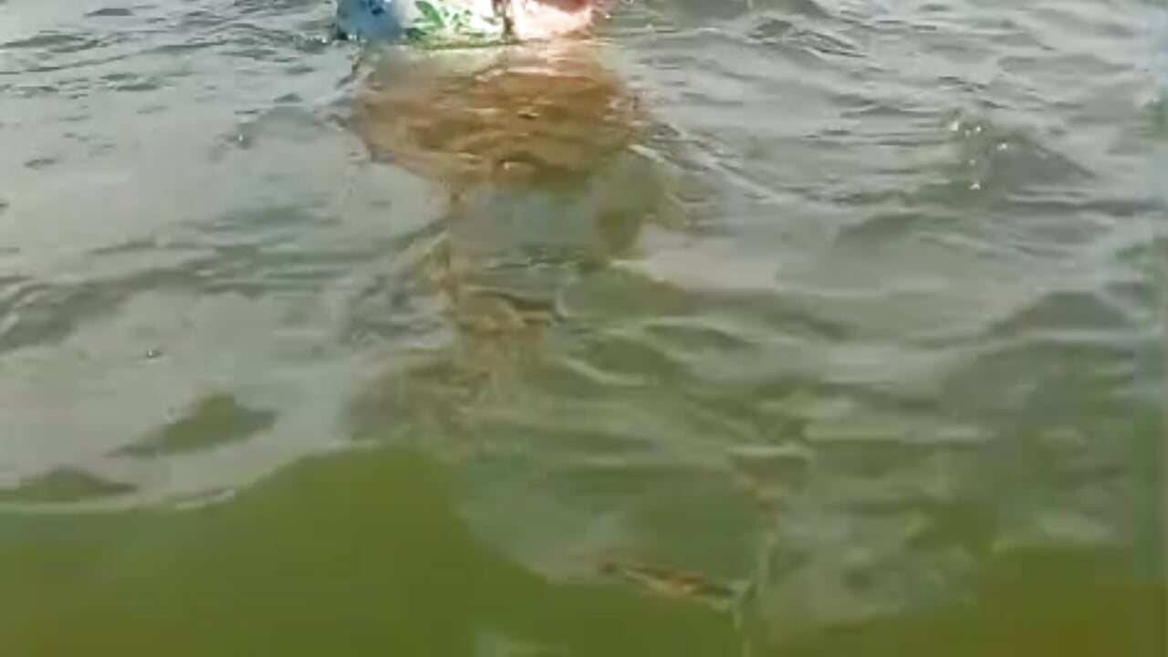 being happy  🥵🔥 - video by Reginavegaa cam model
