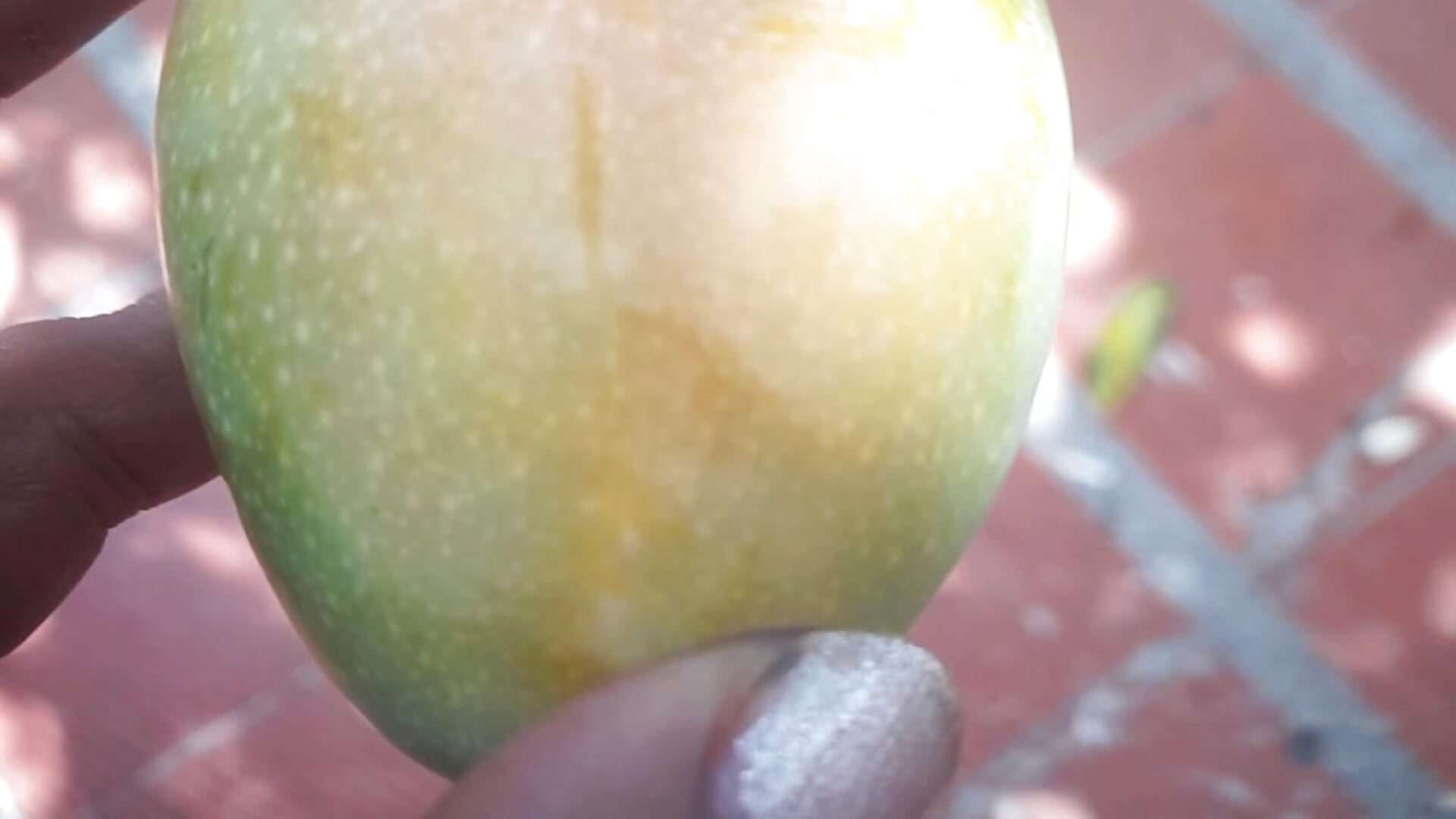 Mango - video by Lobaveterana_sex cam model