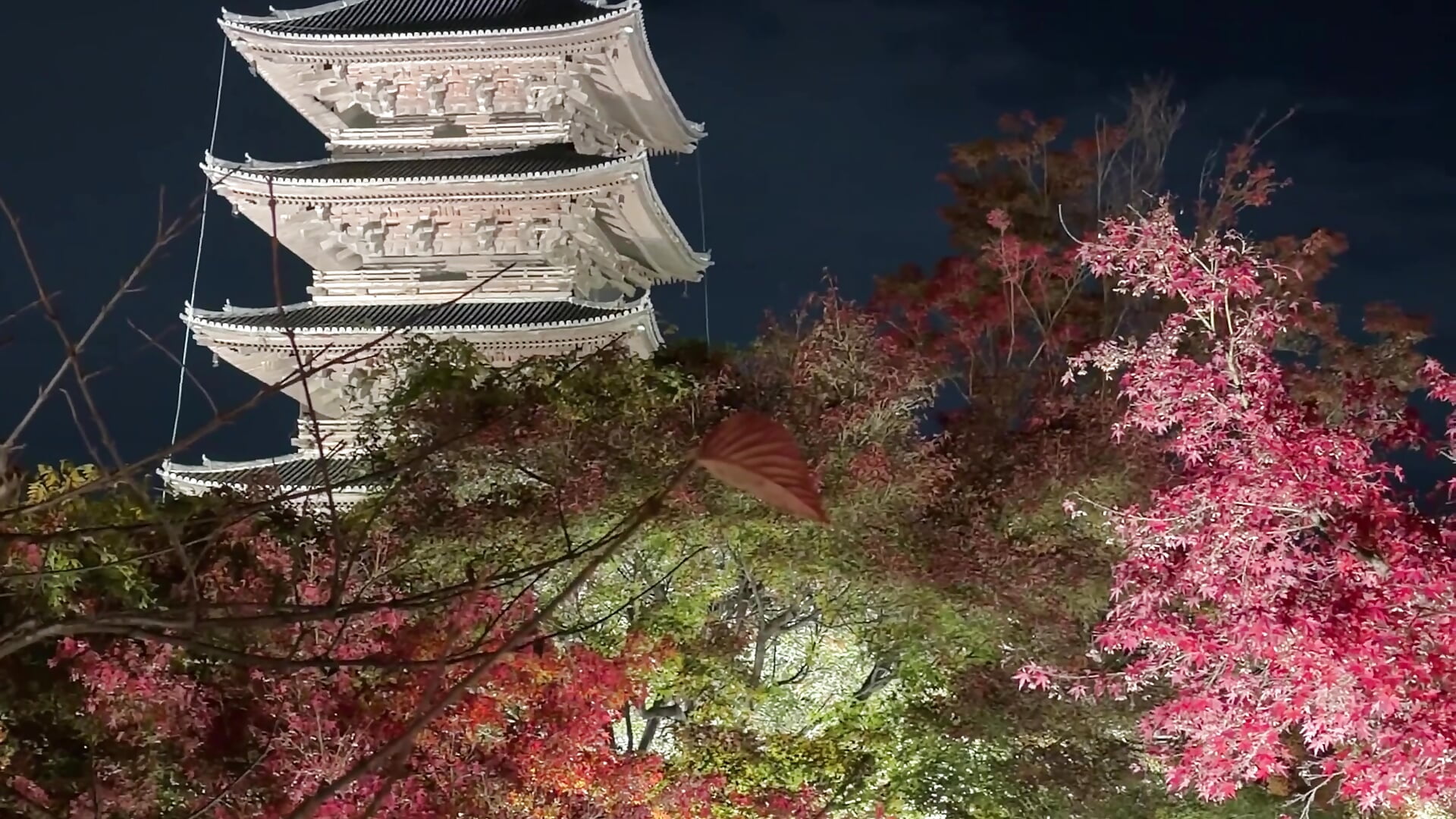 東寺 - video by yun_1022 cam model