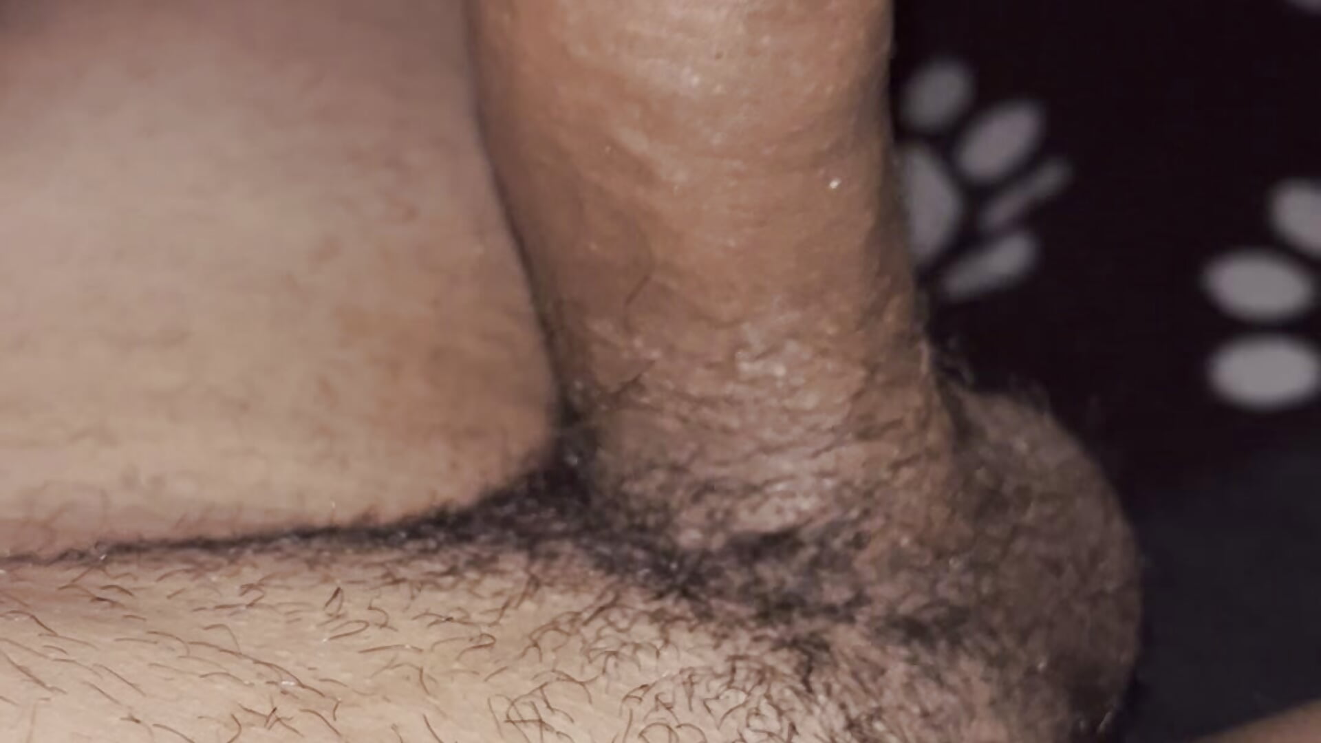 SUCK DEEP BIG COCK AND BALLS