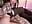 Doggy Position with Masturbation — filmik DirtyDahlia, modela(-lki) na kamerkach